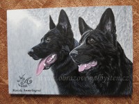 /album/fotogalerie-jina-tvorba/a1v-s-w-jpg1/